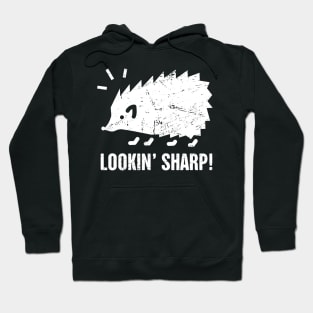 Cute And Funny Pet Hedgehog Graphic Hoodie